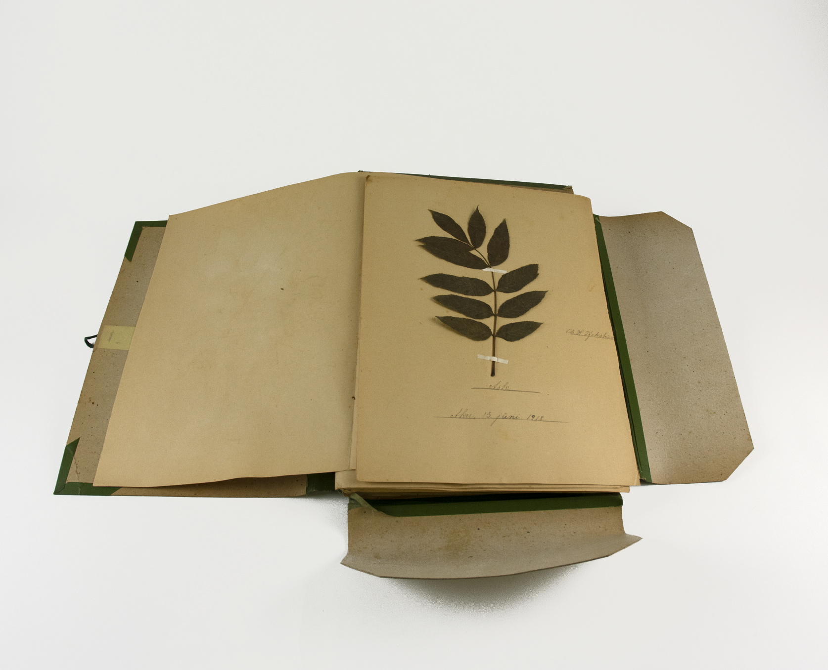 OSk.01282 (4) copy.png