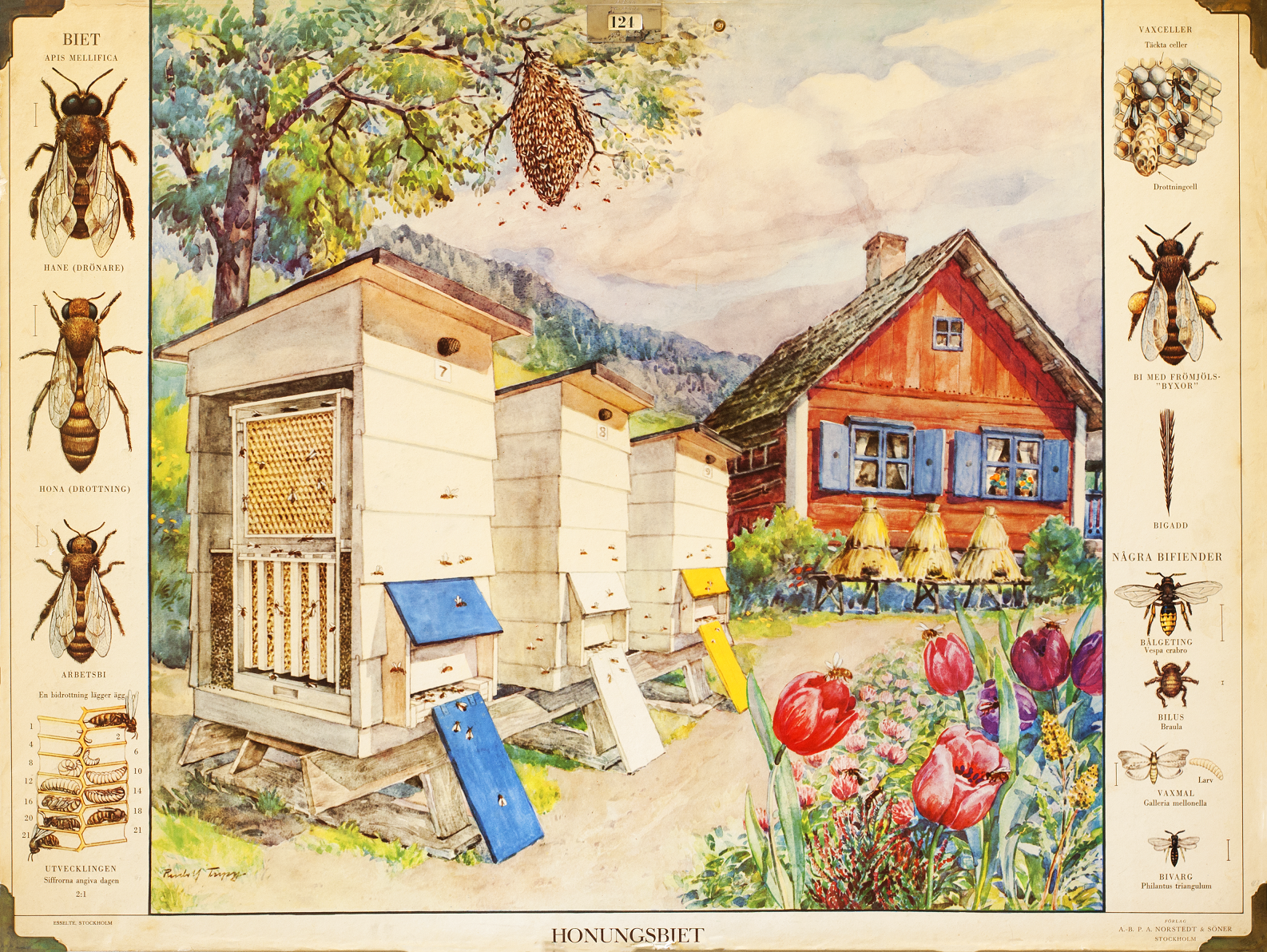 Foto: Oslo Skolemuseum Plansje bier