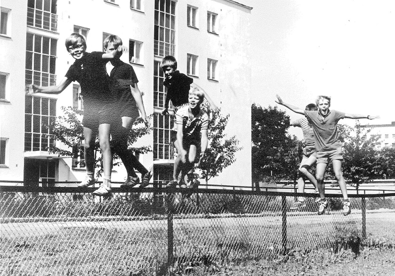 Foto: P. Musæus Gutter hopper over gjerdet